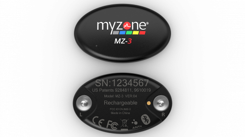 front-back-of-module-Copy